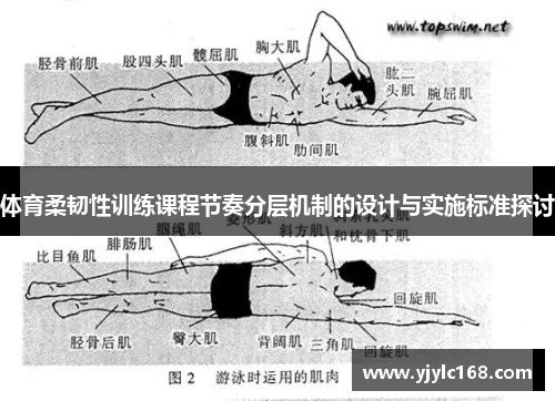 体育柔韧性训练课程节奏分层机制的设计与实施标准探讨