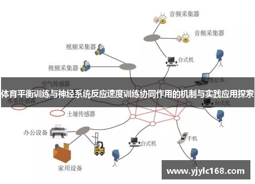 体育平衡训练与神经系统反应速度训练协同作用的机制与实践应用探索